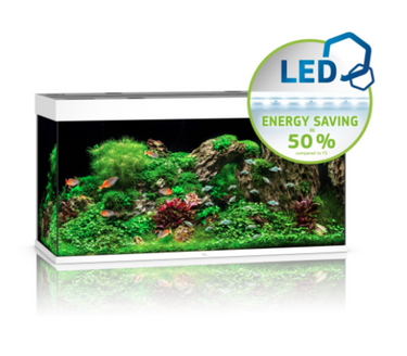 RIO 350 LED - White